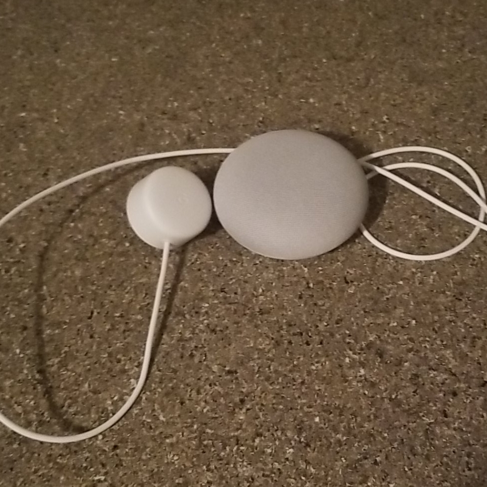 Google Nest Mini